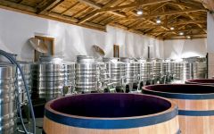 Dominio de Pingus Pingus Winery Winery Image