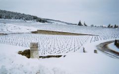 Domaine Pierre Gelin  Winery Image