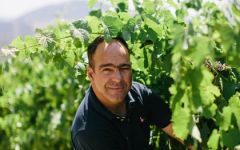 Cockburn's Ricardo Carvalho, Viticulturist Winery Image