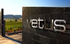 Vetus Winery Image