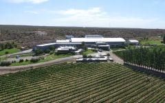 Familia Schroeder Familia Schroeder Winery in Patagonia Winery Image