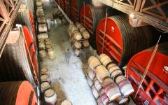 Mas Amiel Winery Image