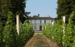 Chateau Rahoul The Vineyards at Chateau Rahoul Winery Image