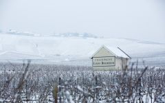 Louis Roederer Winter at Champagne Louis Roederer Winery Image