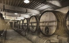 Domaine du Vieux Telegraphe Domaine du Vieux Telegraphe Winemaking Winery Image