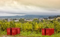 Champagne Leclerc Briant Leclerc Briant Vineyards Winery Image