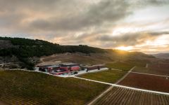 Pago de Carraovejas Gravity Flow Winery Winery Image