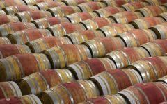 Vina Eguia Barrels Winery Image