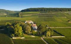 Louis Latour The Château  Winery Image