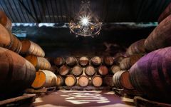 JM Fonseca Twin Vines Jose Maria Da Fonseca Barrel Room Winery Image