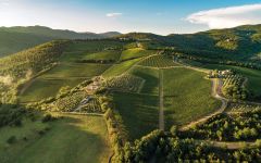 Castello di Albola Aerial view of the Estates Winery Image