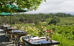 Francis Ford Coppola Winery RUSTIC Dining Winery Image