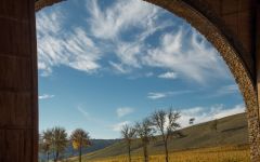 Maysara Winery Winery Image