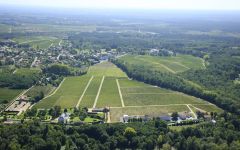 Chateau Malartic-Lagraviere Winery Image