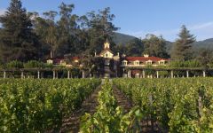 Inglenook Winery Image