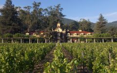 Inglenook  Winery Image