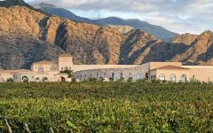 Piattelli Ariel View of Bodega Piattelli Winery Image