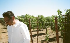 Ashes & Diamonds Proprietor Kashy Khaledi Winery Image