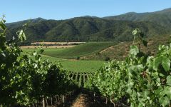 Cono Sur San Antonio Valley  Winery Image