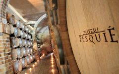 Chateau Pesquie Chateau Pesquie ageing cellar Winery Image