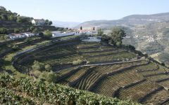 Quinta do Noval Quinta do Noval Winery Image