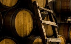 Zorzal Zorzal Wine Barrels  Winery Image