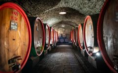 Castello di Albola Slavonian Oak Cellar Winery Image