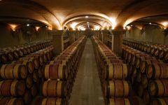 Chateau Margaux  Winery Image
