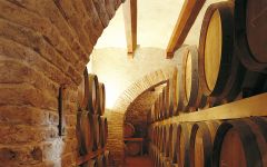 Tenuta Trerose  Winery Image