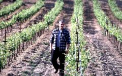 Gaia Yiannis in the vineyards Winery Image