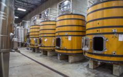 Saggi 55 Hectolitre Upright French Oak Tanks Winery Image