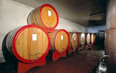 Schiavenza Schiavenza Cellar Winery Image