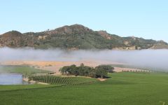 Antica Antica Napa Valley Vineyards Winery Image