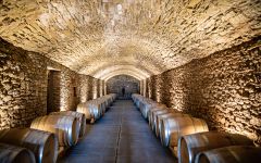 Castello di Albola Tonneaux Cellar Winery Image