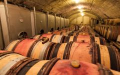 Andre Brunel Brunel Cellar Winery Image