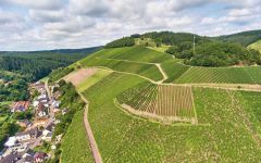 Zilliken  Grand Cru Saarburg Rausch Vineyard Winery Image