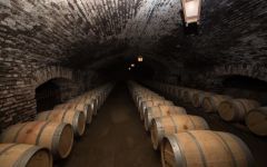 Concha y Toro Barrel Room Winery Image