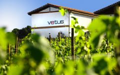 Vetus Bodegas Vetus Winery Image
