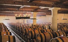 Chateau Haut-Brion Haut -Brion Cellar Winery Image