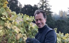 Big Basin Winemaker Bradley Brown Harvesting Winery Image