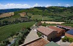 Sartarelli Sartarelli Estate Winery Image