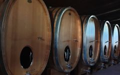 Magoutes 2500 Liter Slavonian Oak Barrels Winery Image