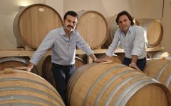 Pietradolce Mario and Michele Faro Winery Image