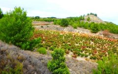 Bodegas Urbina  Winery Image