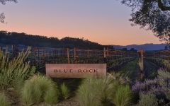 Blue Rock Vineyard Blue Rock Vineyard Winery Image