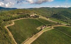 Castello di Albola Santa Caterina vineyard Winery Image