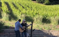 Big Basin Big Basin Music on the Patio Winery Image