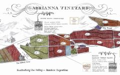 Catena Adrianna Vineyard Winery Image