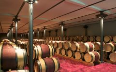 Ornellaia Barrel Room Winery Image