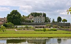 Chateau Lafite Rothschild Wine - Learn About & Buy Online